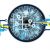 Business Process Automation: What It Is and Why It Matters